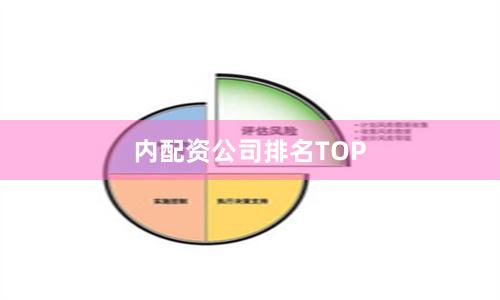 内配资公司排名TOP